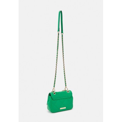 ALDO VALABERIEL - Handbag - green/green