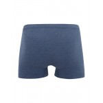 Men Underwear | SCHIESSER Boxer shorts in Mottled Blue - VJ24092