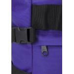 Carhartt WIP PAYTON CARRIER BACKPACK - Rucksack - razzmic/icy water/purple