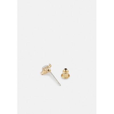 ALDO CHUDDA 6 PACK - Earrings - clear/gold-coloured/gold-coloured
